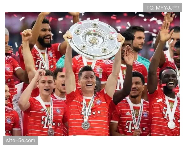 欧冠赛程密集度增加 球员肌肉伤病风险同比上升两成 欧冠赛程密集度增加 球员肌肉伤病风险同比上升两成